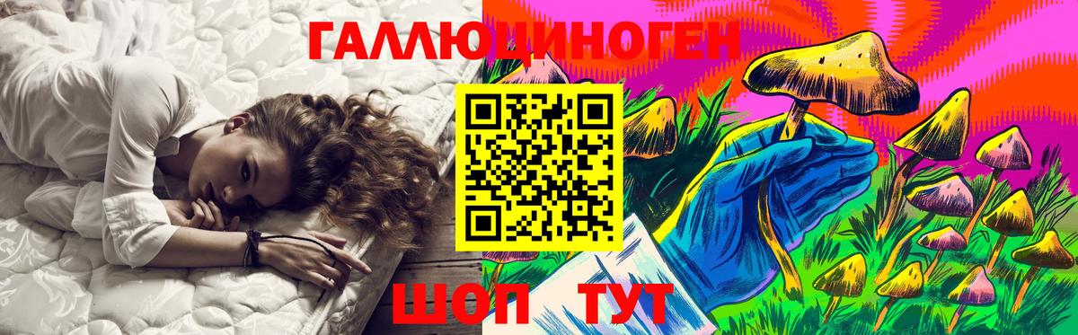 Галлюциногенные грибы Psilocybe  Вход с VPN  наркота  Полевской  Галлюциногенные грибы мицелий 