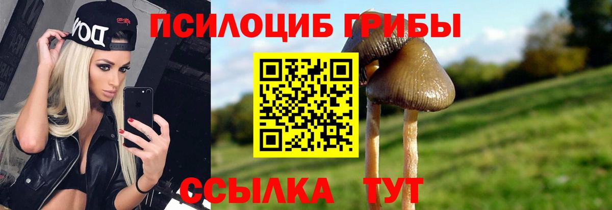 Галлюциногенные грибы Magic Shrooms Полевской